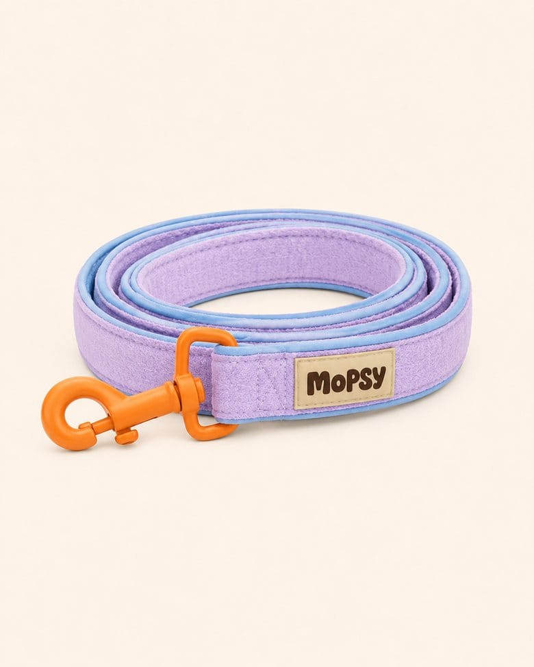 The Everyday Leash in padded lilac webbing